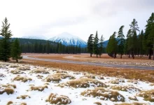 Photo of Особенности покупки земельных участков