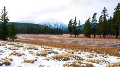 Photo of Особенности покупки земельных участков
